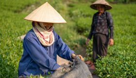 image-43